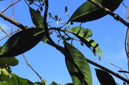 IMG_1707