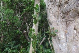 IMG_1721
