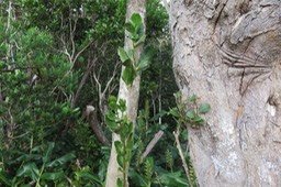 IMG_1722