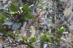 IMG_1738