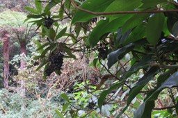 IMG_1740