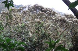 IMG_1745