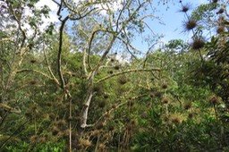 IMG_1753