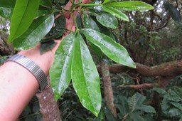 IMG_1756
