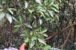 IMG_1765