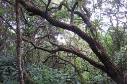 IMG_1768