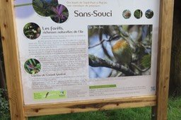 IMG_1769