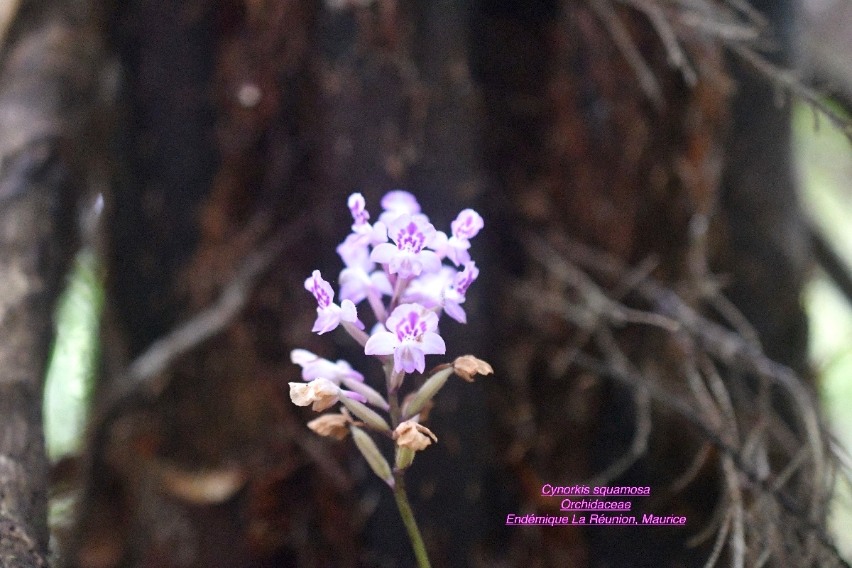 DSC_2080
