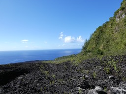 P1015641