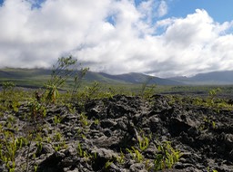 P1015649