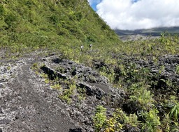P1015659