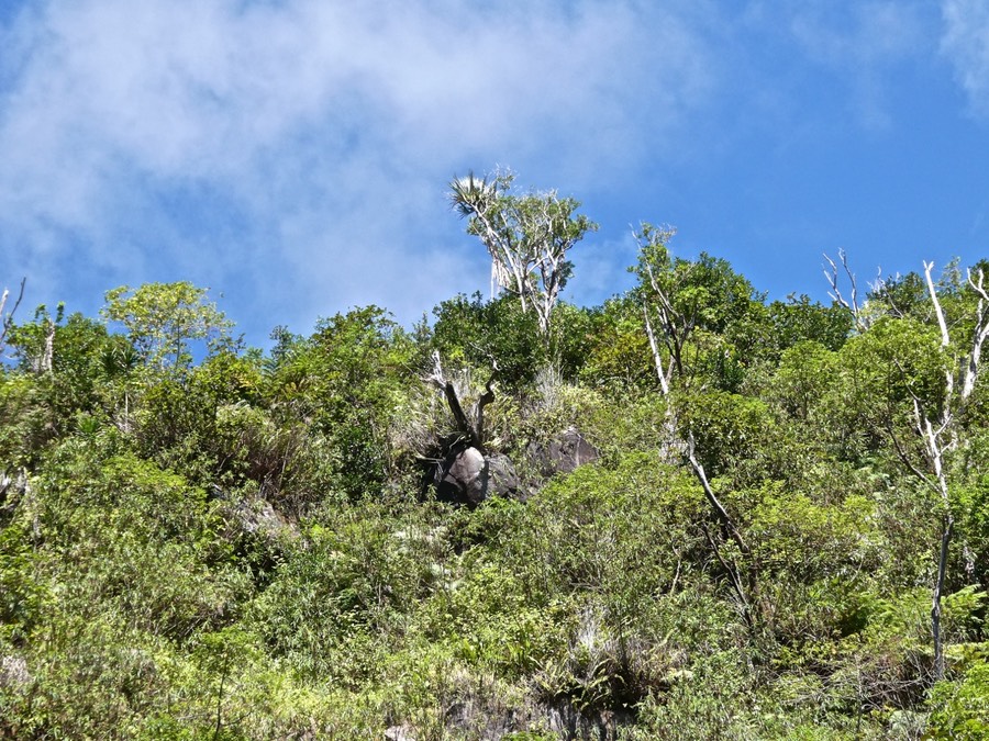 P1015662