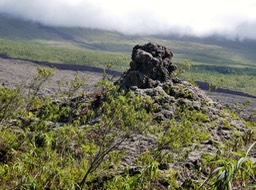 P1015706