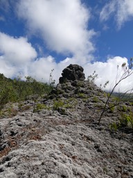 P1015716