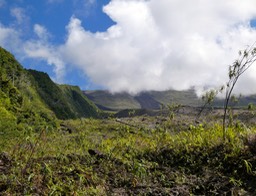 P1015805