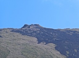 P1015835