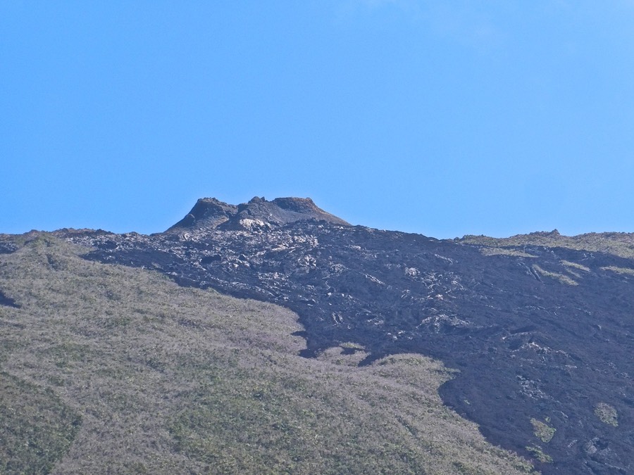 P1015835