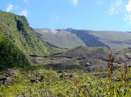 P1015867