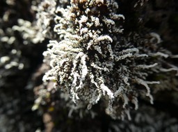 P1020076