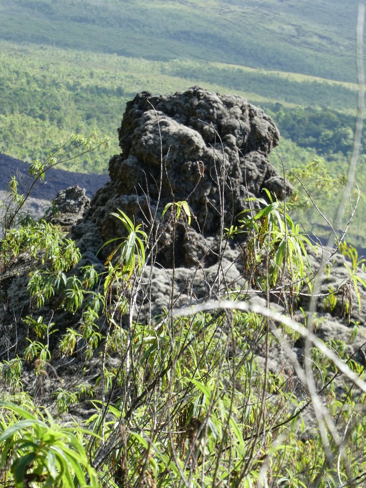 P1020095
