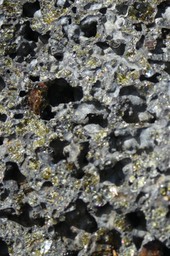 P1020112b