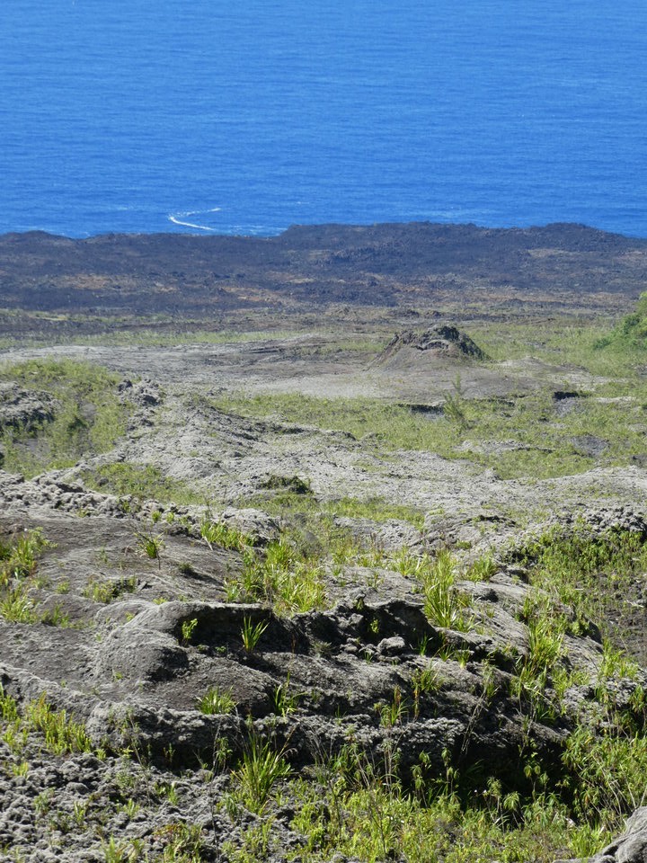 P1020121