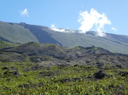 P1020126