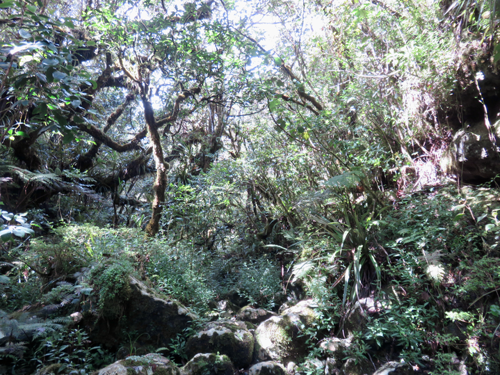 21. Ravine