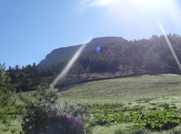 Au loin le Morne Langevin