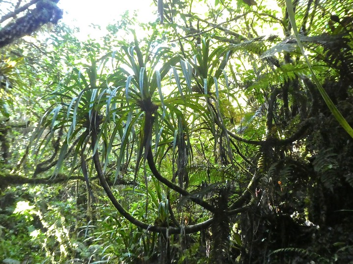 P1790630