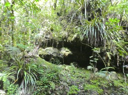 P1790748