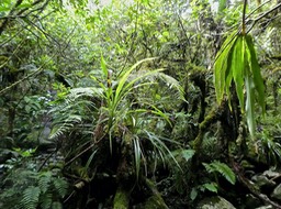 P1790887