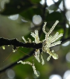 P1790895
