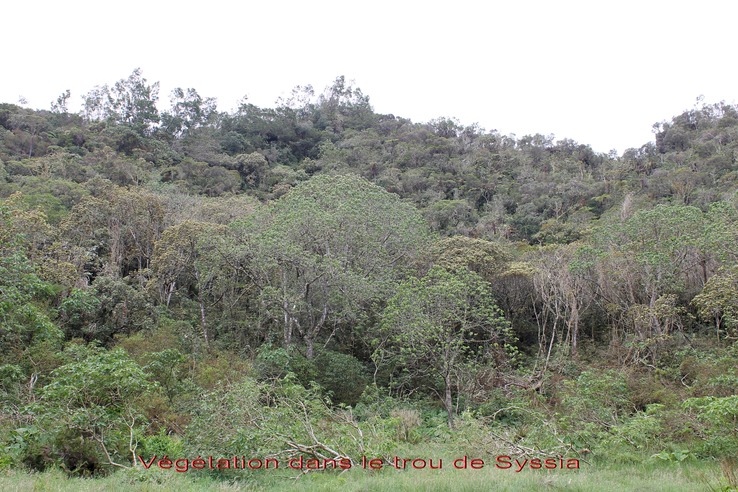 Au- Vgtation dans le Trou de Sysia
