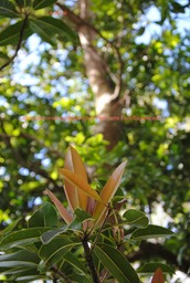 DSC_0005 1