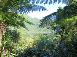7. L'étang