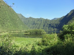 9. L'île dans l'île