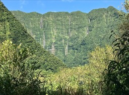 IMG_8546