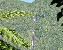 P1014226