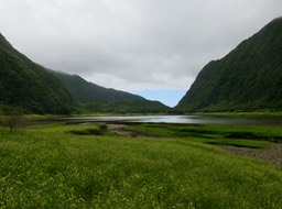 14. IMG_3310.JPG
