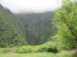 18.  Cascades