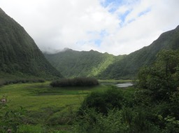 2. L'étang vue du blvèdère