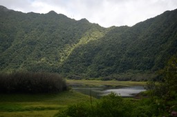 5971 Grand Etang