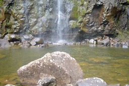 Bassin et cascade 6036