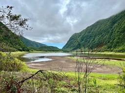 Grand Etang IMG_3792
