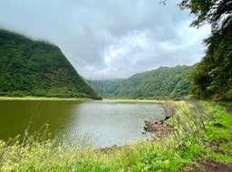 IMG_3786
