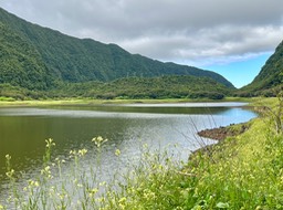 IMG_3868