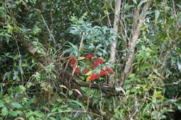 DSC06729