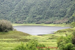 Grand Etang - Plaine des Palmistes