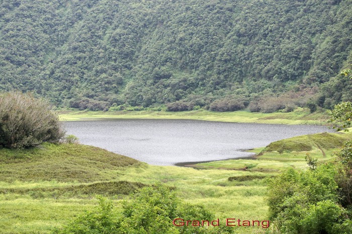 Grand Etang - Plaine des Palmistes